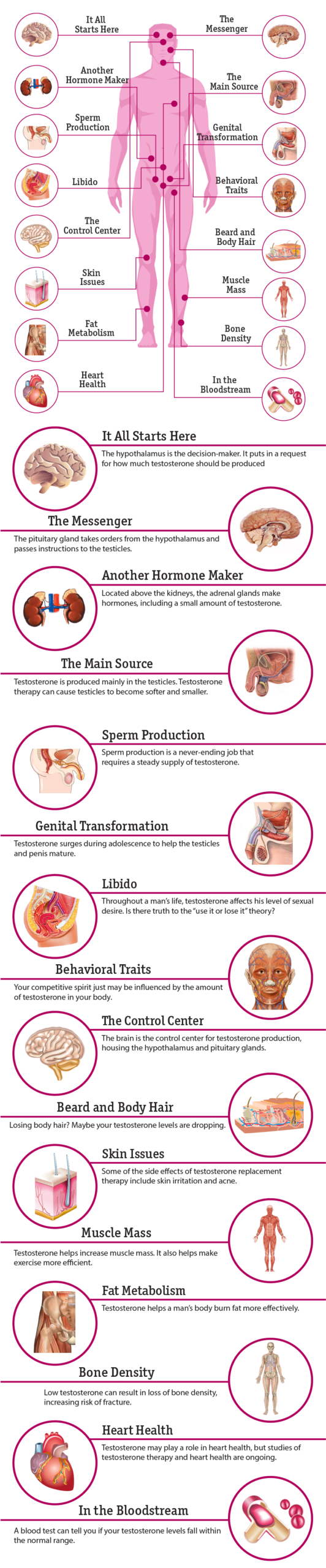 Child Growth & Development Stages